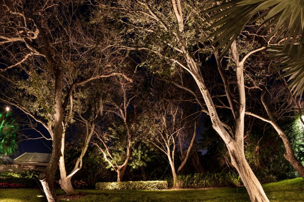 Landscape Lighting Palm Harbor, Florida