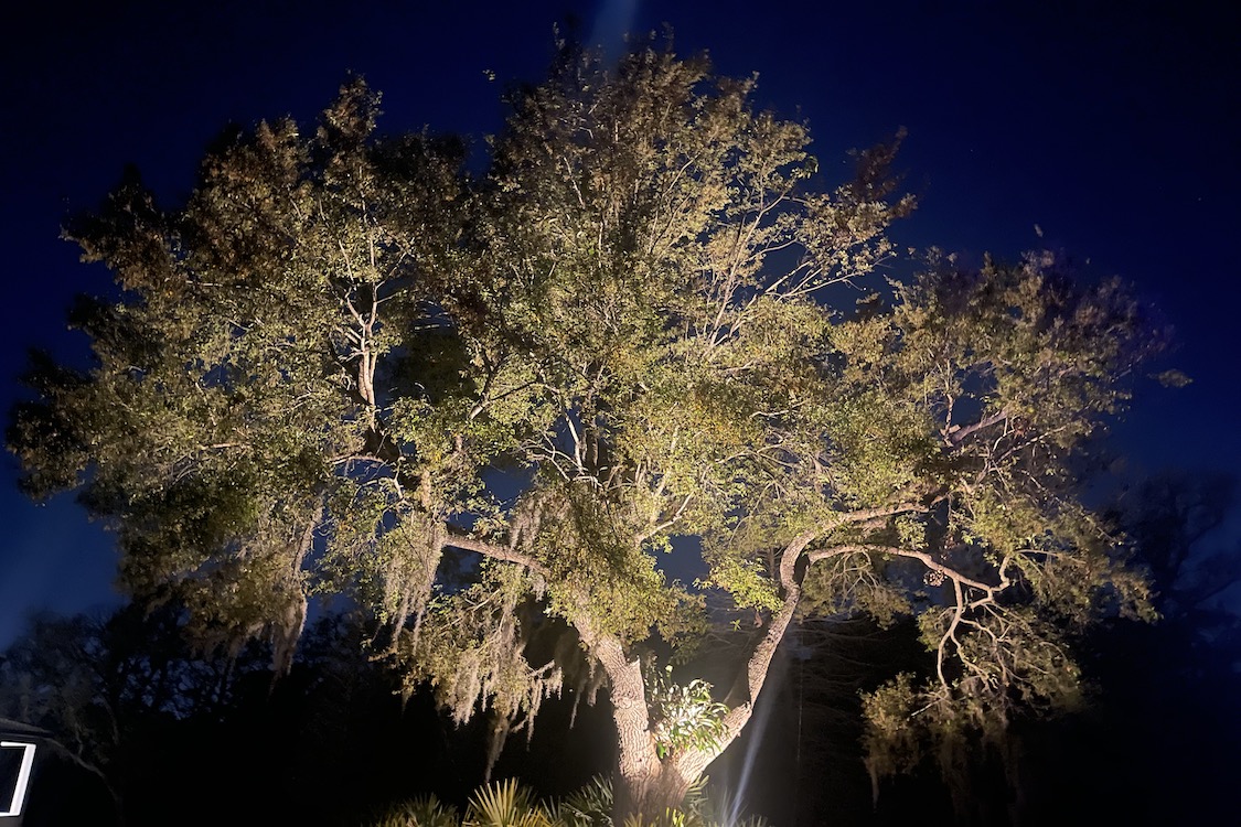 Marietta Landscape Lighting