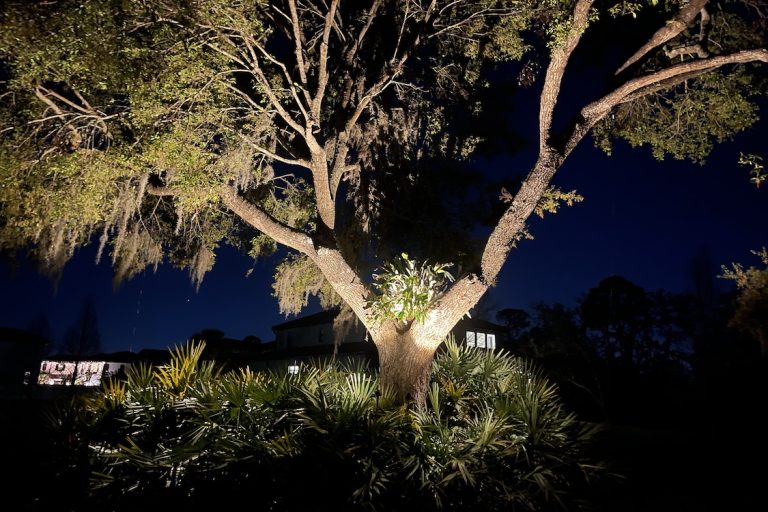 Jasper landscape lighting