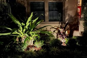 Seminole landscaping lighting