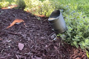 Tampa Landscape Lighting