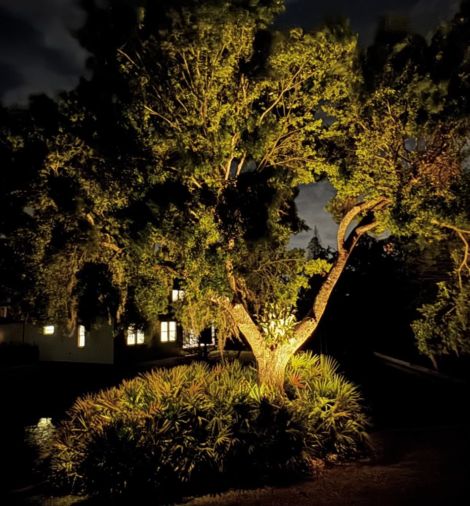 Landscape lighting St Petersburg