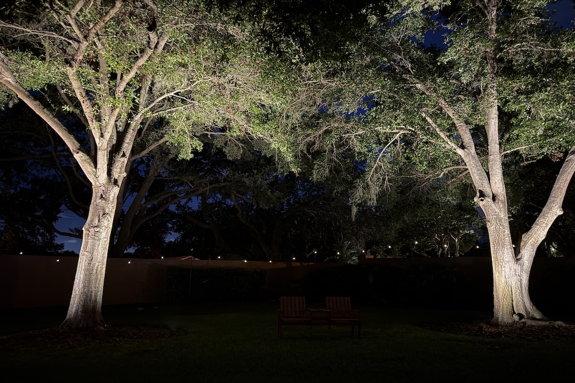 Blue Ridge landscape lighting