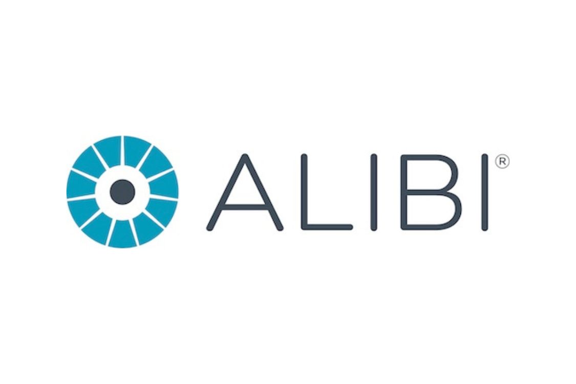 Alibi Security Cameras